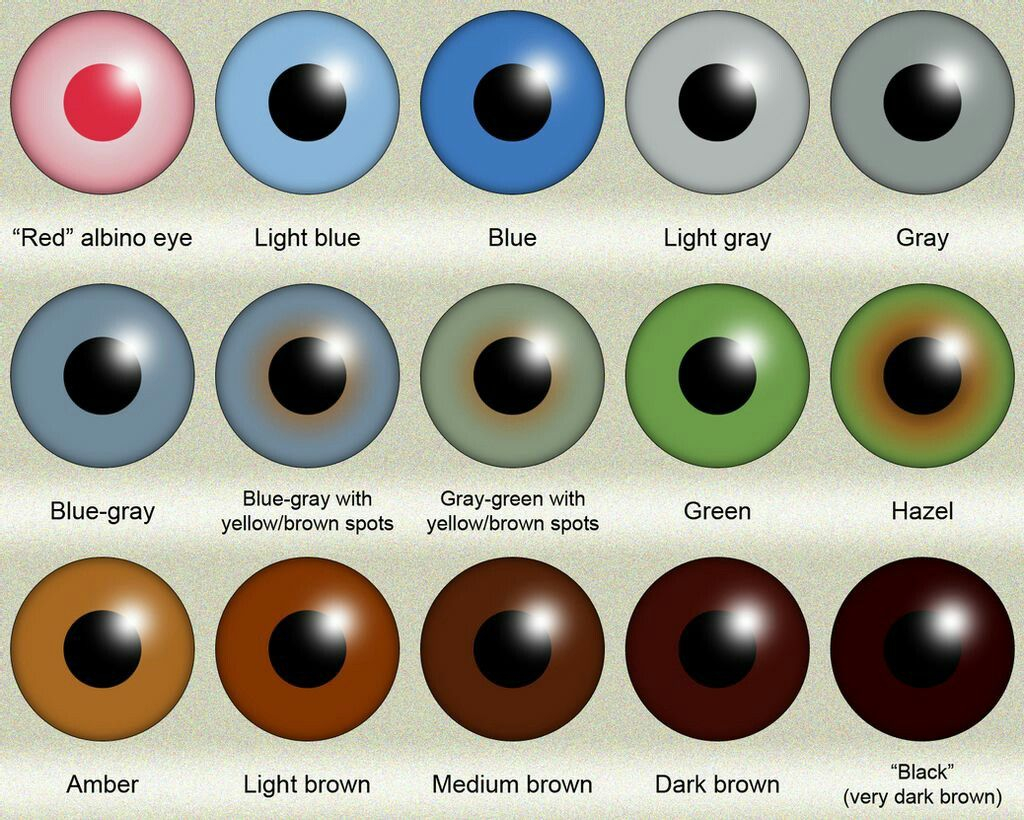 Eye Colors Chart And Names Pin On How R U