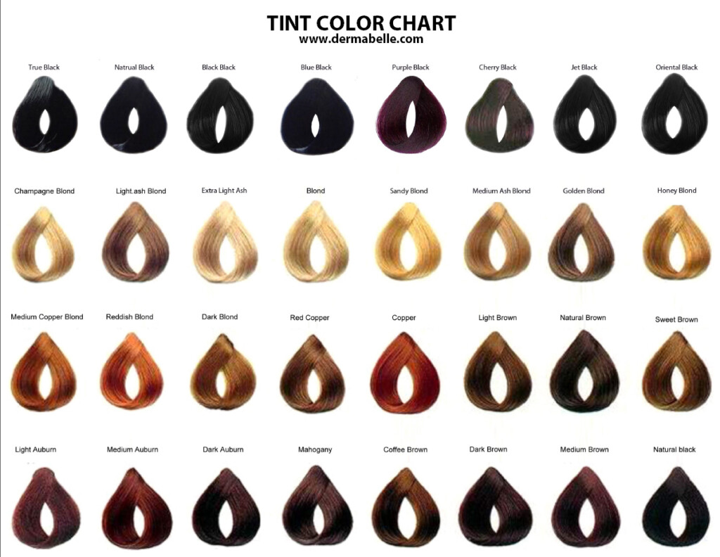 Fanciful Hair Color Chart Wordacross