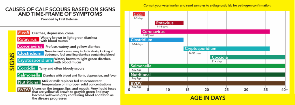 First Defense Scours Chart