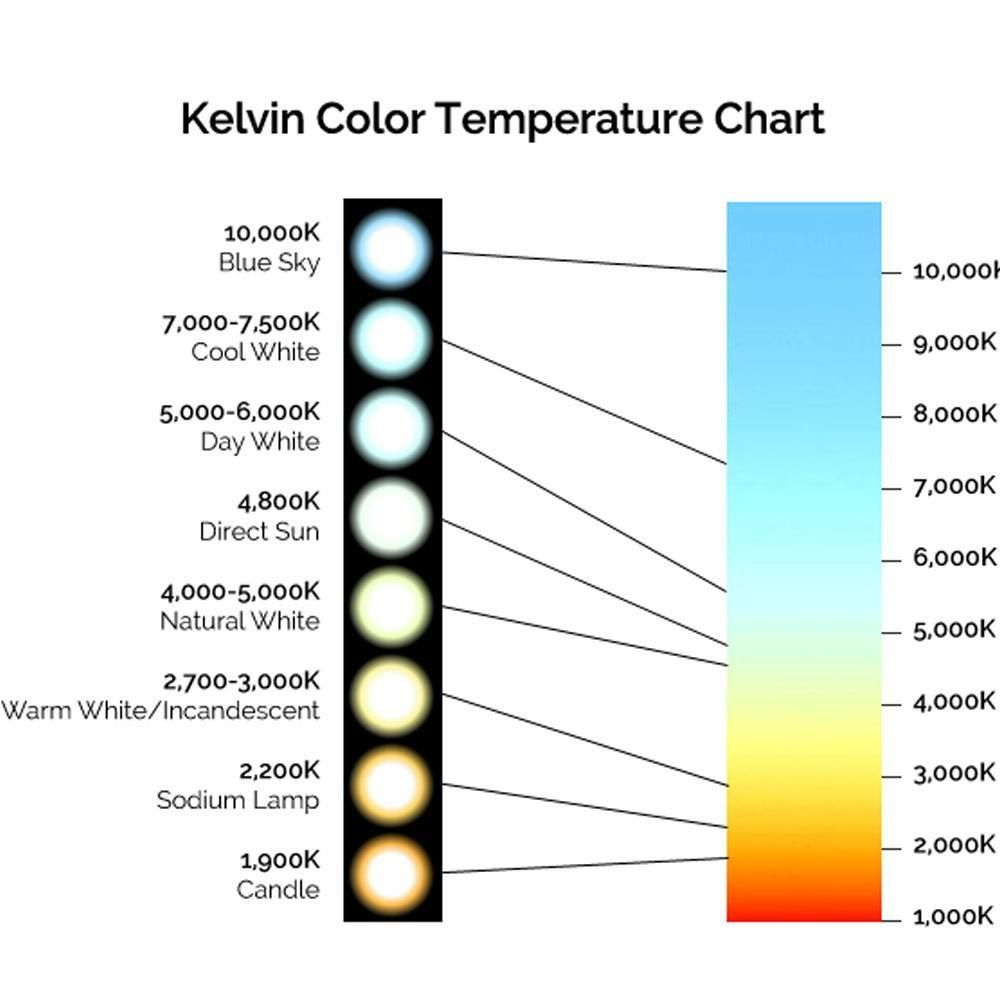 Fluorescent Light Color Chart