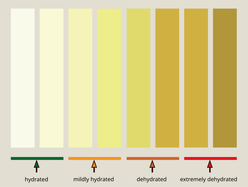 Gallery Of Urine Color Chart Urine Color Chart And Hy Vrogue co