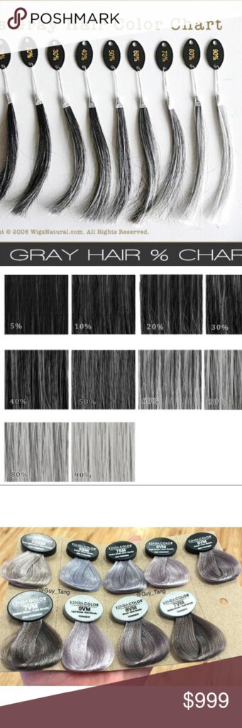 Gray Color Chart Grey Hair Colour Chart Hair Color Chart Silver Guide 