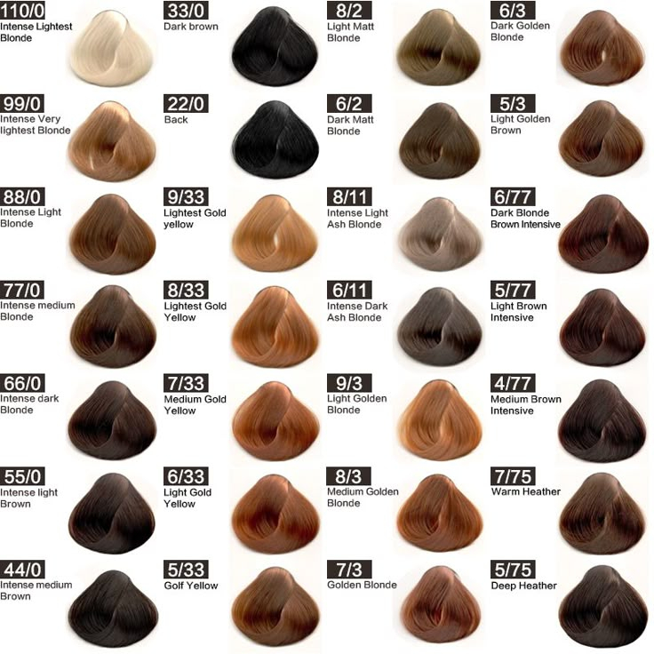 Hair Color Chart 3 Pieces Hair Color Names Hair Color Chart Brown 