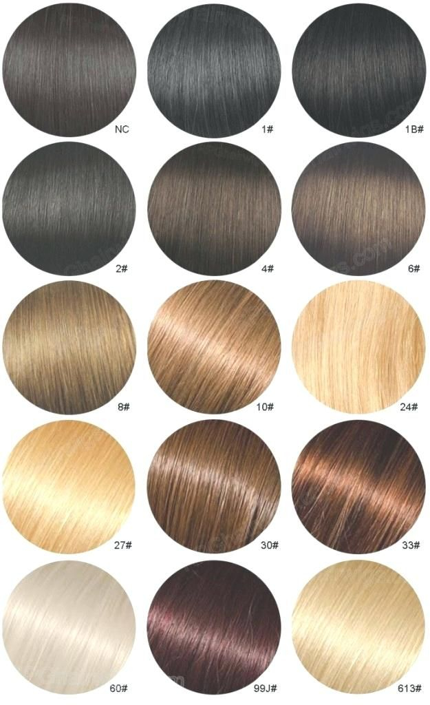 Hair Color Chart Ion Hair Colors Ion Hair Color Chart Hair Color Chart 