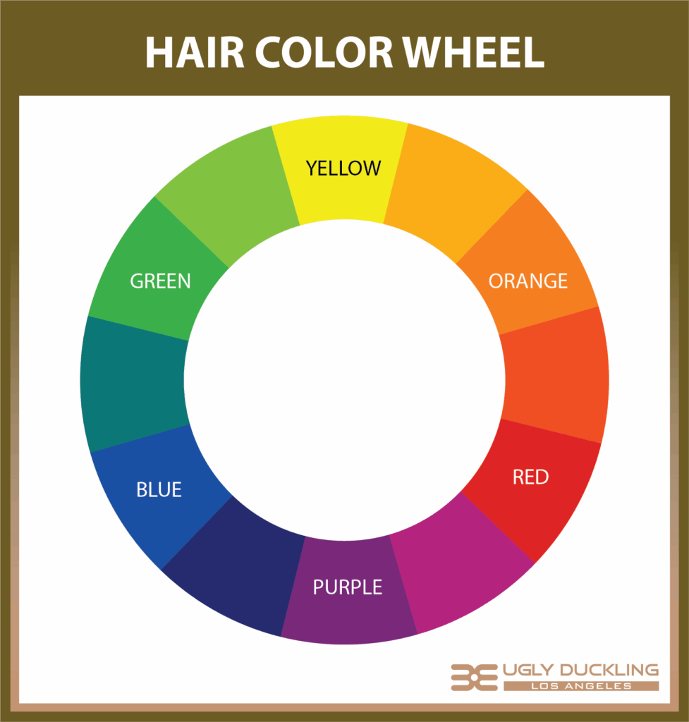 Hair Color Chart Wheel The Hair Color Wheel The Secrets To Color 
