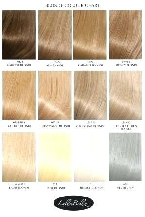 Hair Color Filler Chart A Visual Reference Of Charts Chart Master