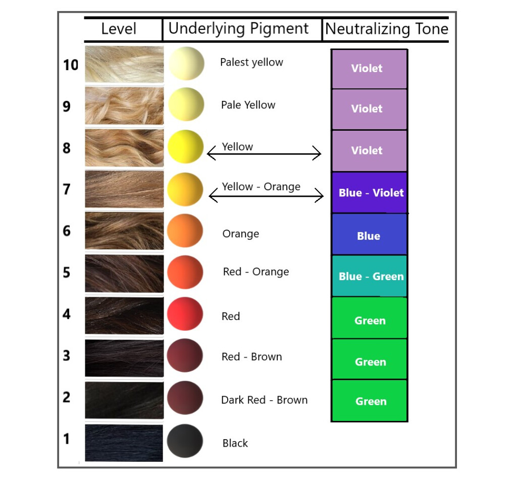 Hair Color Level System Chart
