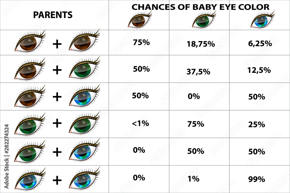 Hazel Eyes A Complete Eye Color Guide Eye Color Chart Genetics Eye 