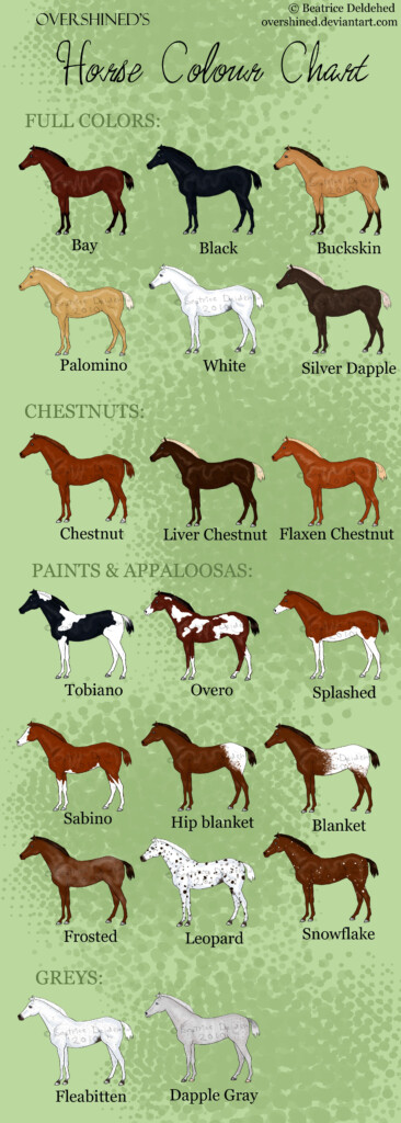 Horse Color Chart Horse Breeds Horse Coloring