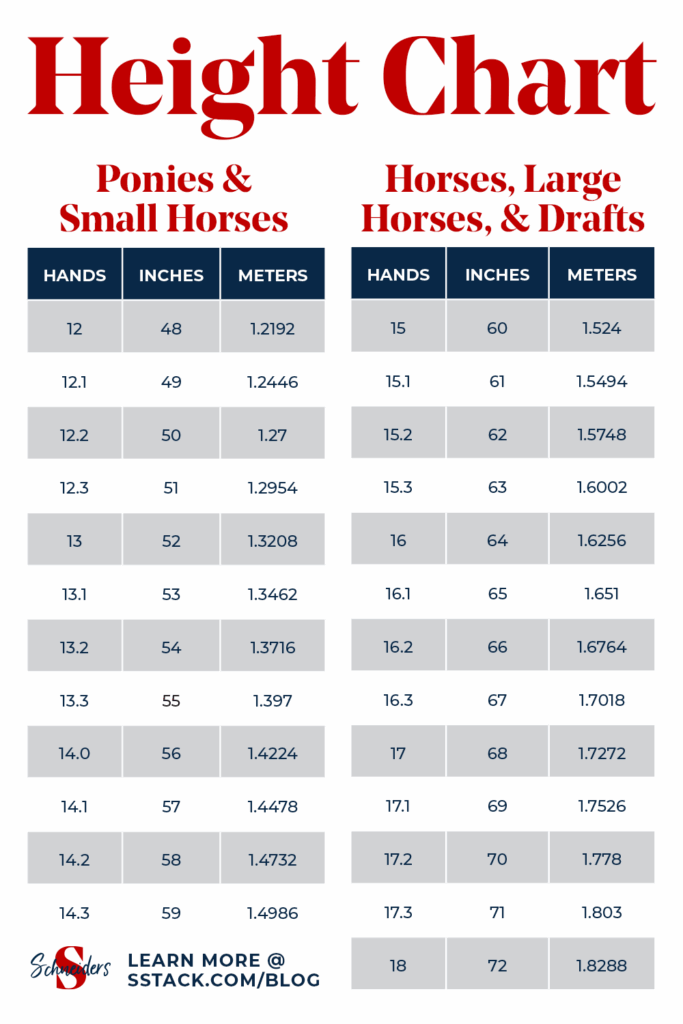 Horse Height Chart How To Measure A Horse 39 s Height And Weight Horse 