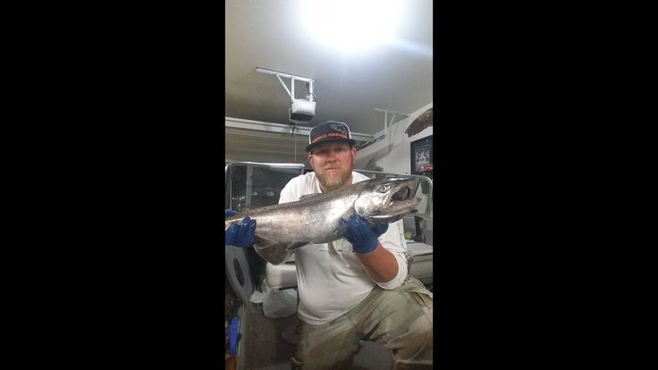 How To Rig For Salmon Fishing Using Brads Super Baits Salmon Fishing 