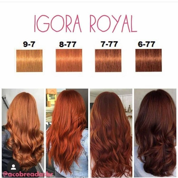 Igora Royal Color Chart Printable Templates Free