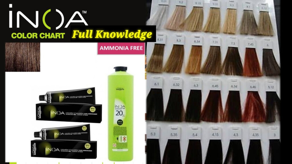 Inoa Color Chart Color Chart Hair Color Chart Loreal Hair 40 OFF