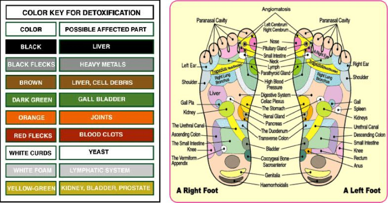 Ionic Foot Detox Color Chart Infoupdate
