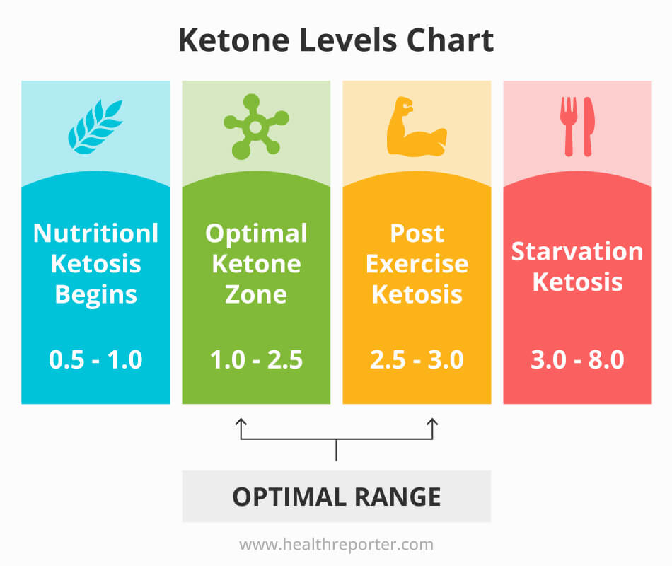 Ketosis Versus Ketoacidosis The Bones 55 OFF