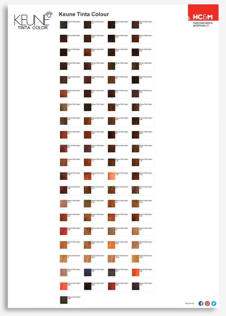 Keune Tinta Color Shades Chart Hair Color Chart Keune Color Keune Hair 
