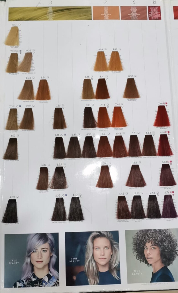 Keune Tinta Color Shades Hair Color Chart Hair Color 44 OFF