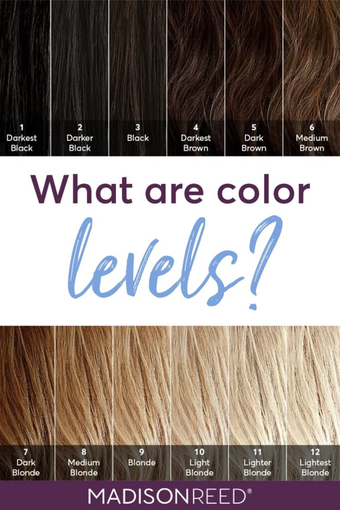 Level 5 Hair Color Chart Warehouse Of Ideas