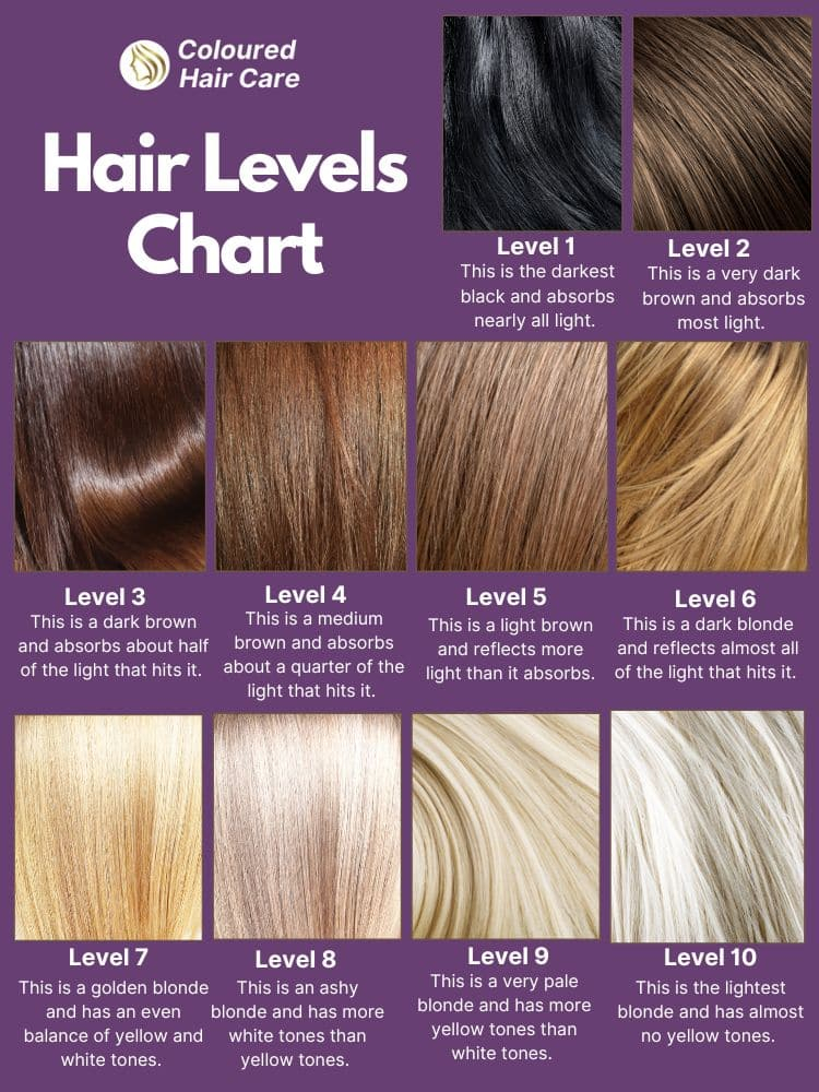 Level Chart Hair Color 448084 Level 6 Hair Color Char Vrogue co