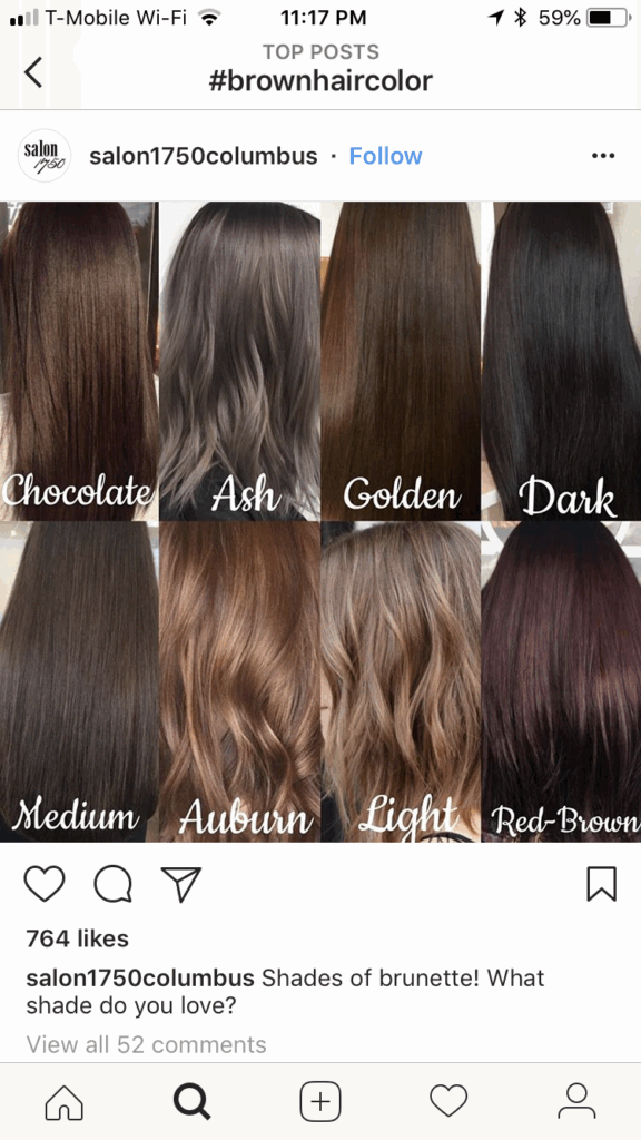 Light Ash Brown Hair Color Chart