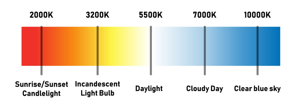 Light Bulb Color Chart Daylight Oficial Online Www pinnaxis