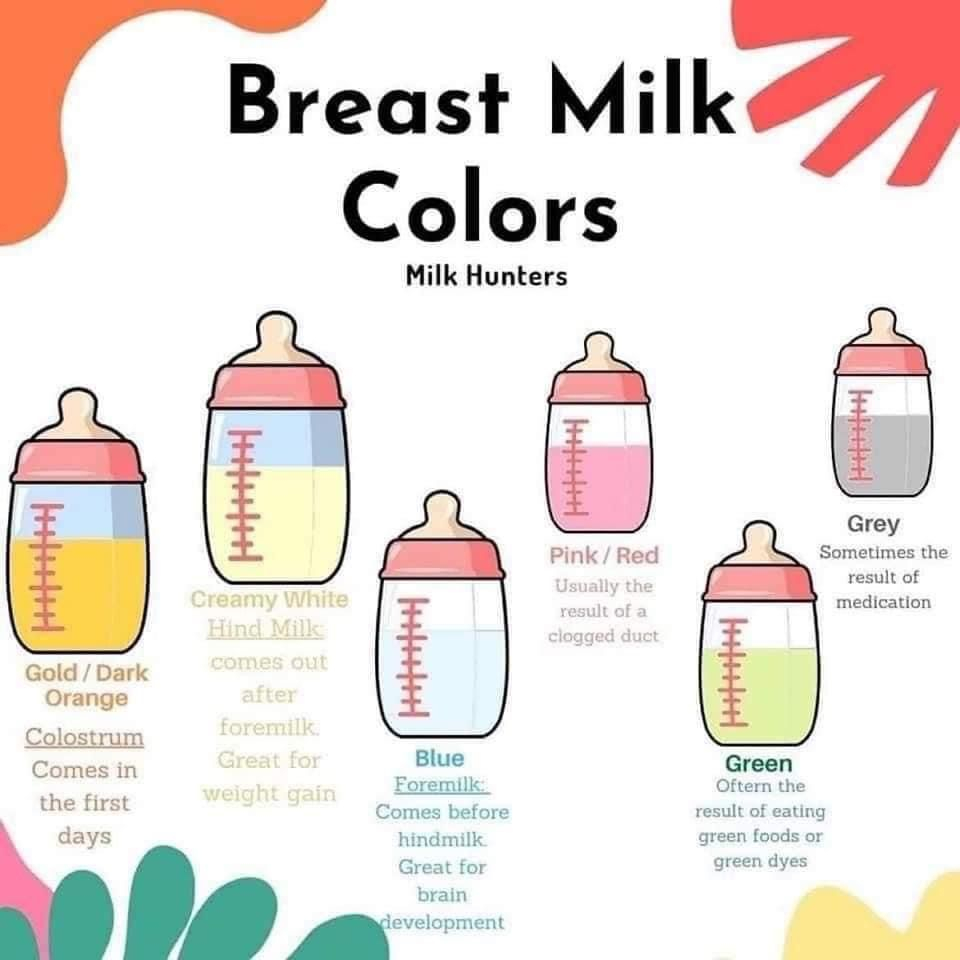 Listo Sala Ganso Breast Milk Color Prever Auxiliar Incorporar