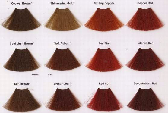Loreal Hicolor For Dark Hair Color Chart Stackitdesign My XXX Hot Girl