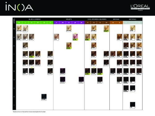 LOreal Inoa colorchart WunderKult