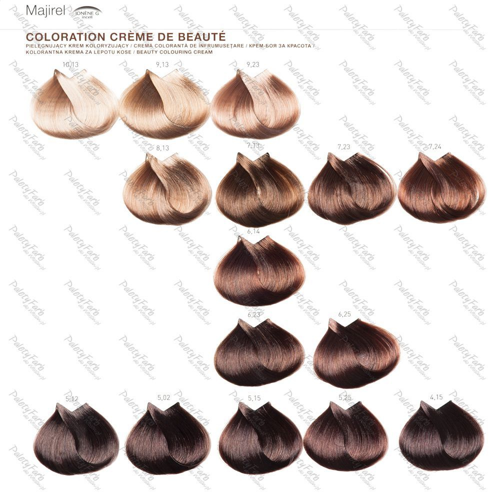 Loreal Majirel Color Chart Brown Artofit