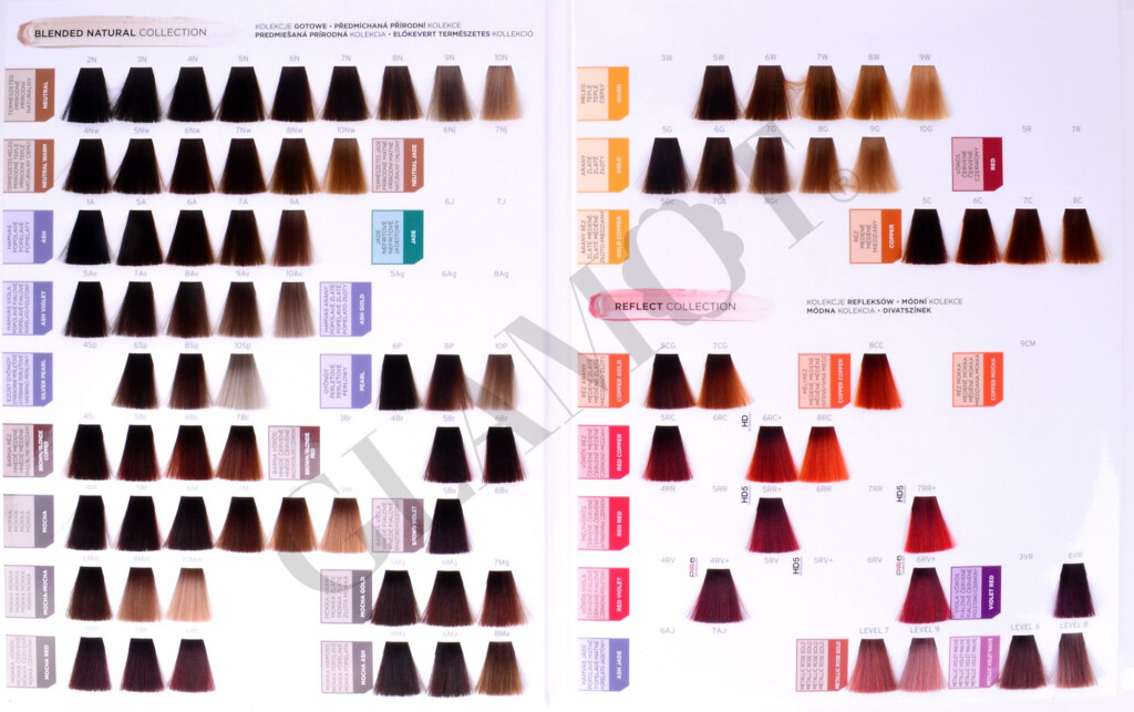 Matrix Auto Paint Color Chart Painting