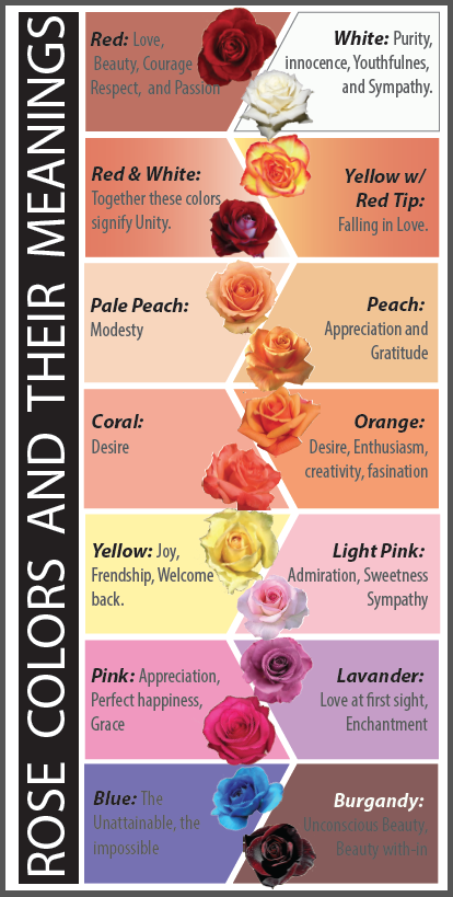 Meaning Of Rose Colors
