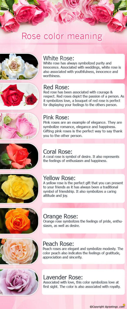 Meaning Of Roses Rose Color Meanings Rose Meaning Color Meanings
