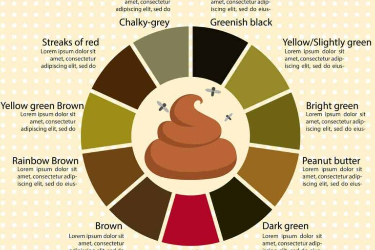 Medical Stool Color Chart