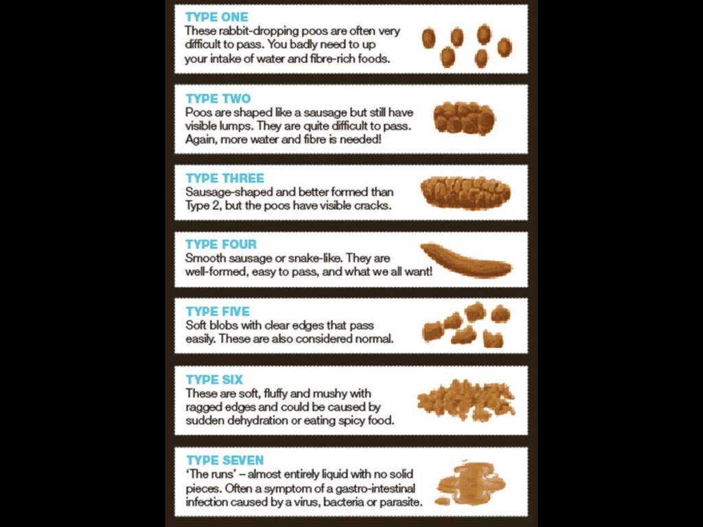 Medical Stool Color Chart