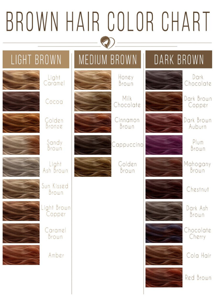 Medium Brown Hair Color Chart