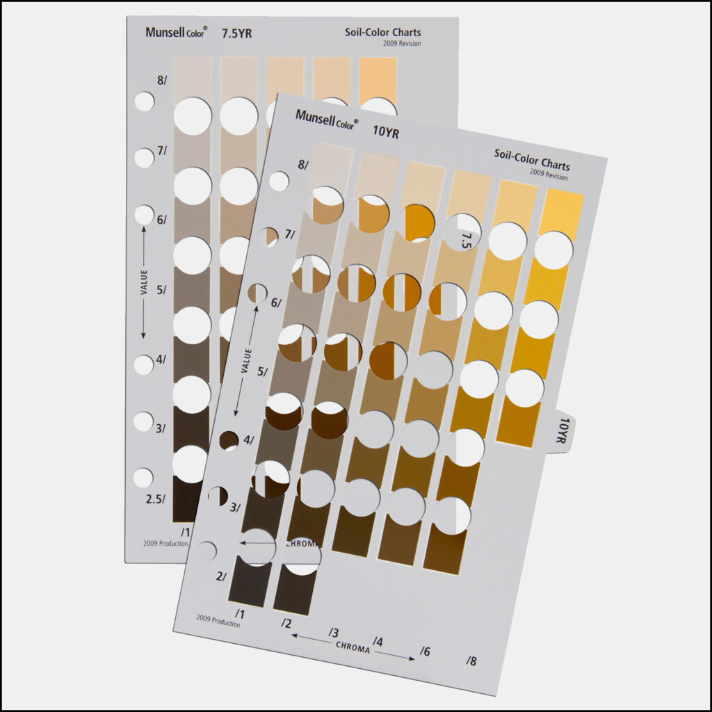 Munsell Soil Color Chart Download Pdf 19 Munsell Color Chart Pdf