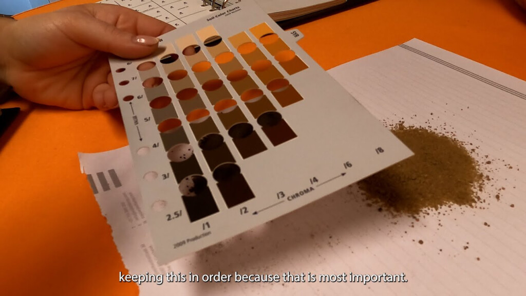 Munsell Soil Color Chart Online Edgebase co jp