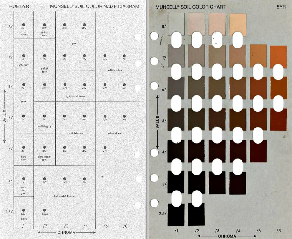 Munsell Soil Color Chart Printable