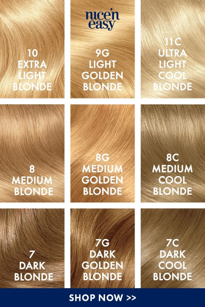 Nice 39 N Easy Blonde Moment Dark Blonde Hair Color Clairol Hair Color 