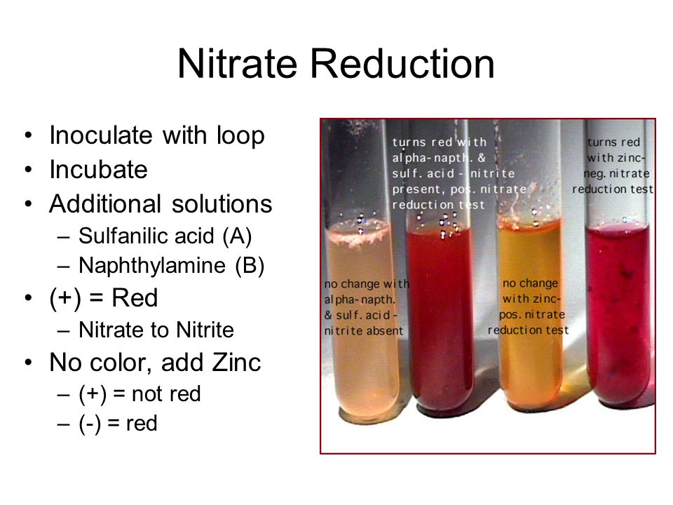 Nitrate Test Color Chart