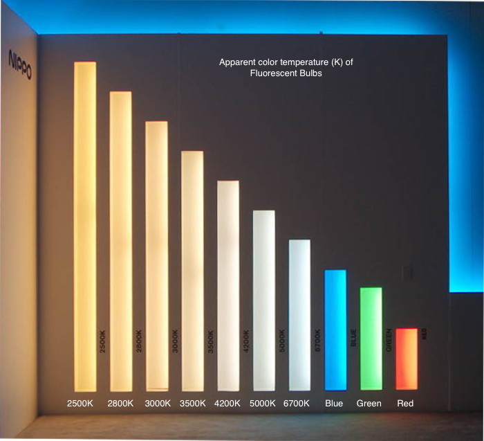 Occupato Guardare La Tv Indebolire Light Bulb Color Temperature Agenzia 