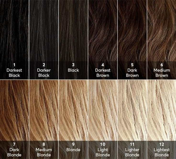 Pravana High Lift Color Chart Inell gonce