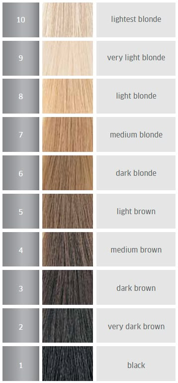 Pravana High Lift Color Chart Inell gonce