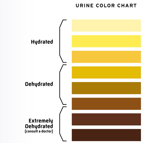 Proper Hydration Urine Color Chart