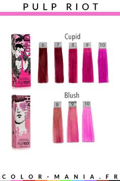 Pulp Riot Color Chart Pdf What Is Paintcolor Ideas