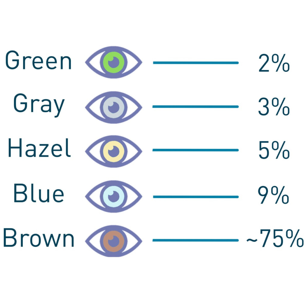 Rare Eye Colors Chart Google Search Eye Color Chart Rare Eye 6 Rare And 