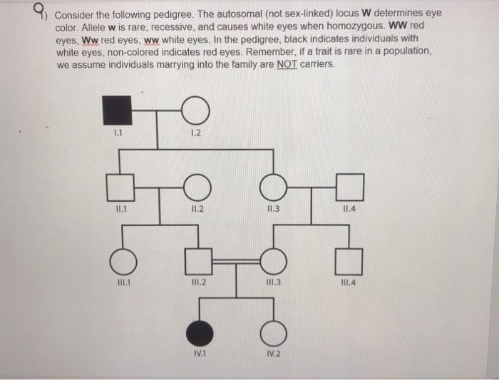 Recessive Dominant Gene Chart Eye Color Infoupdate
