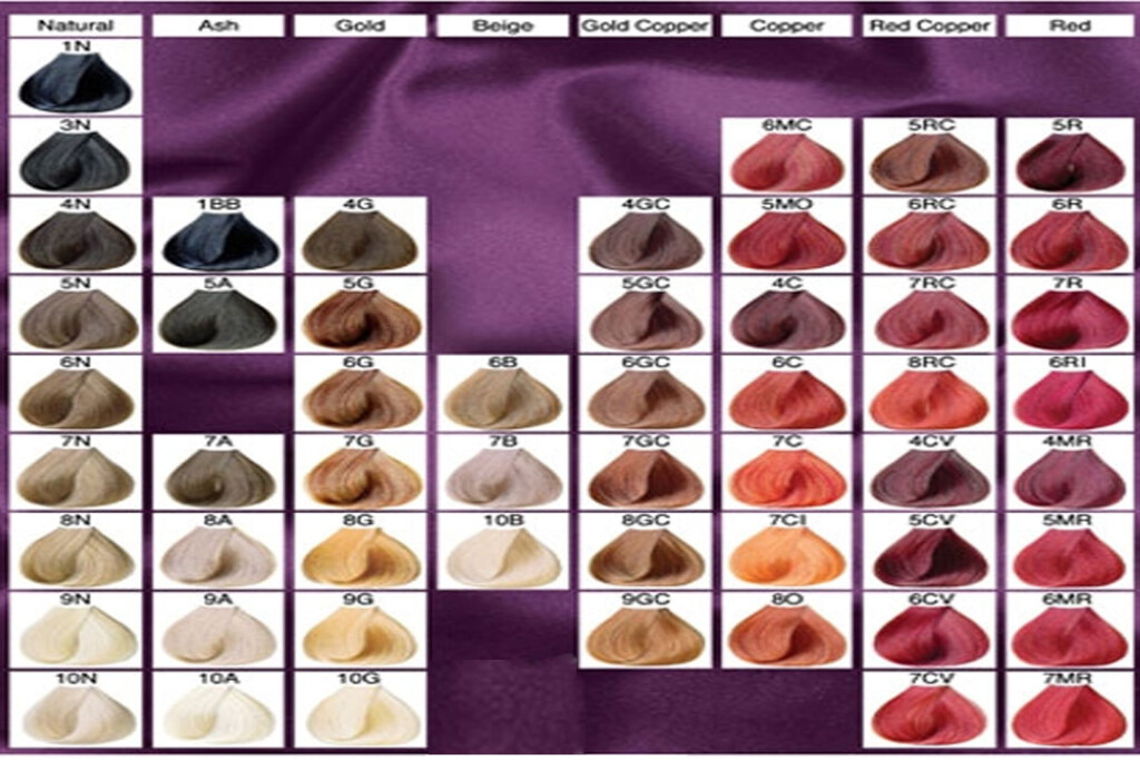 Red Hair Shades Red Hair Color Chart