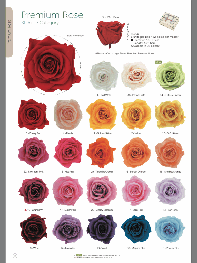 Rose Color Chart Meanings Rose Color Meanings Rose Me Vrogue co