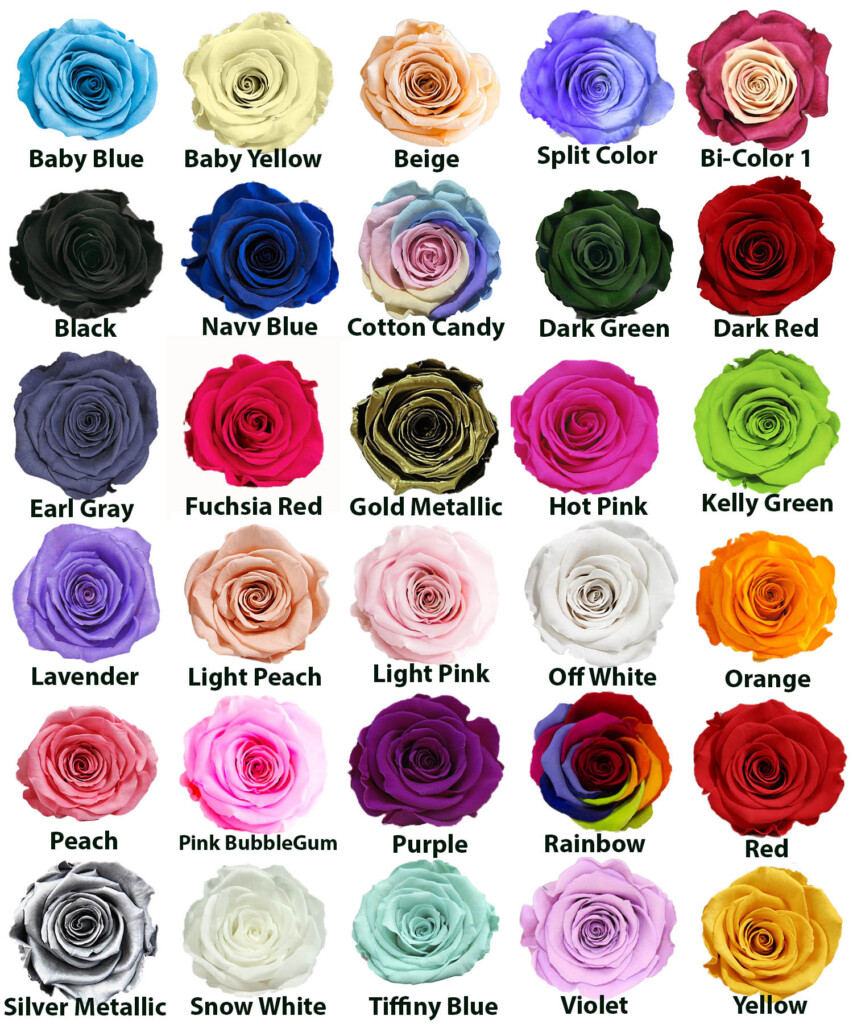 Rose Color Chart Meanings Rose Color Meanings Yellow